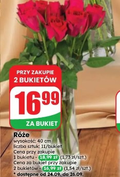Róże