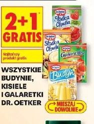 Wszystkie budynie, kisiele i galaretki Dr. Oetker