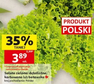 Sałata zielona: dębolistna, karbowana lub batawska
