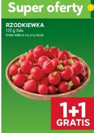 Rzodkiewka