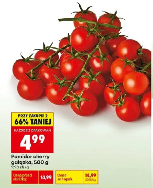 Pomidor cherry gałązka
