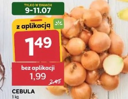 Cebula