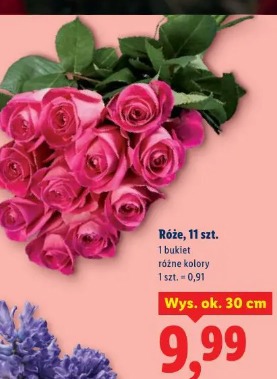 Róże, 11 szt.