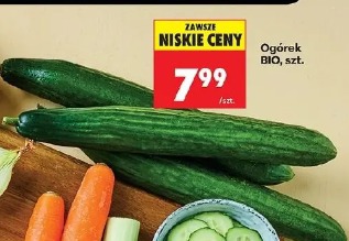 Ogórek BIO