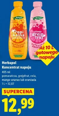 Herbapol Koncentrat napoju