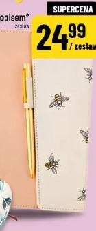 Notes z długopisem