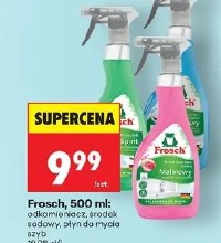 Frosch odkamieniacz środek odświeżający płyn do mycia 500 ml