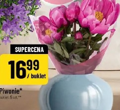 Piwonie