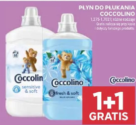 Coccolino płyn do płukania