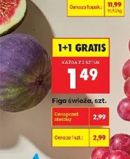 Figa świeża