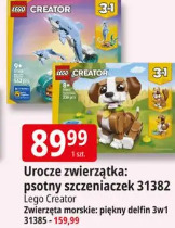 Urocze zwierzątka: psotny szczeniaczek 31382