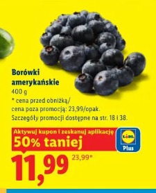 Borówki amerykańskie