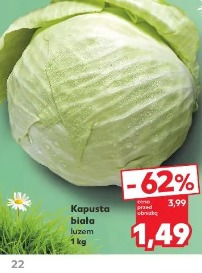 Kapusta biała