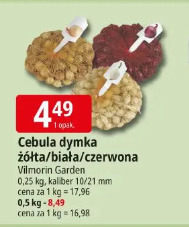 Cebula dymka żółta/biała/czerwona Vilmorin Garden