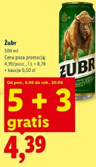 Żubr 