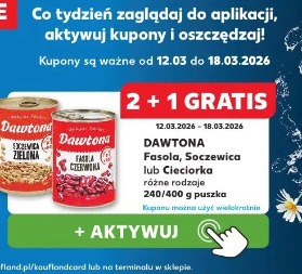 Dawtona fasola, soczewica lub ciecierica
