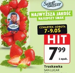 Truskawka San Lucar