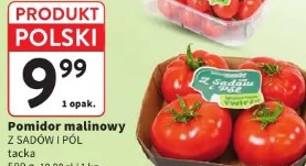 Pomidor malinowy z sadów i pól