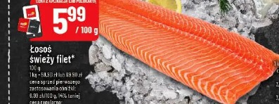 Łosoś świeży filet