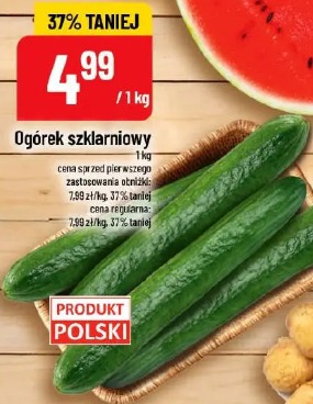 Ogórek szklarniowy