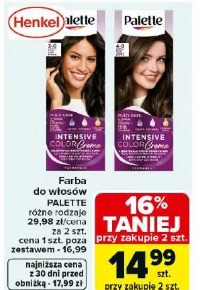 Farba do włosów Palette