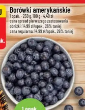 Borówki amerykańskie