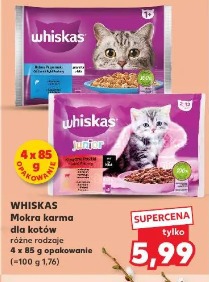 Whiskas Mokra karma dla kotów różne rodzaje