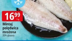 Mintaj polędwica mrożona