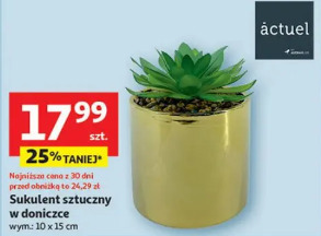 Actuel sukulent sztuczny w doniczce