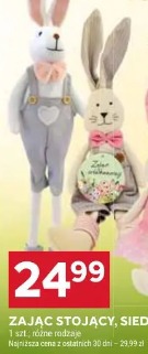 Zając stojący, siedzący