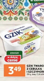 Gzik twarożek z cebulką i szczypiorkiem Jana