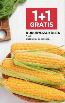 Kukurydza kolba