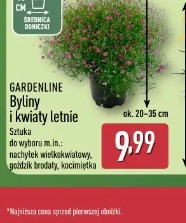 Gardenline Byliny i kwiaty letnie