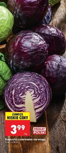 Kapusta czerwona