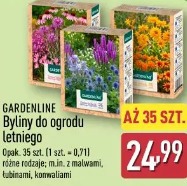 Gardenline Byliny do ogrodu letniego