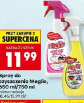 Spray do czyszczenia Meglio