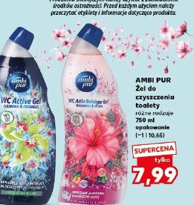 Ambi Pur Żel do czyszczenia toalety różne rodzaje