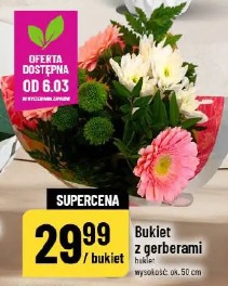 Bukiet z gerberami