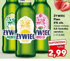 Żywiec Piwo