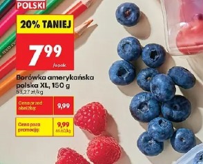 Borówka amerykańska polska KL