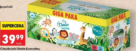 Chusteczki Dada Everyday