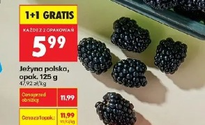 Jeżyna polska