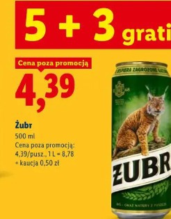 Żubr