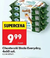 Chusteczki Dada Everyday