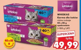 Whiskas Karma dla kotów