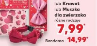 Bandama lub krawat lub muszka dla zwierzaka różne rodzaje
