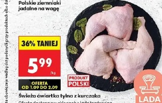 Świeża ćwiartka tylna z kurczaka