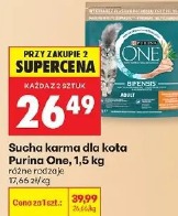 Purina One sucha karma dla kota
