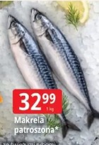 Makrela patroszona