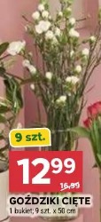 Goździki cięte 9 szt.